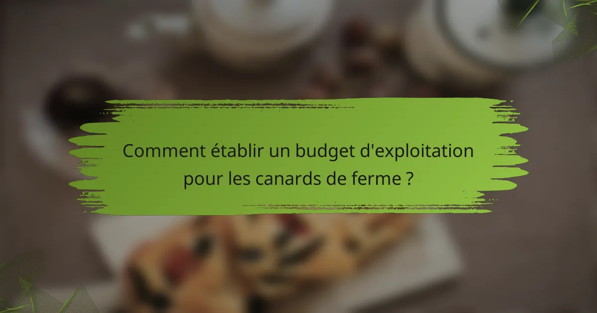 Comment établir un budget d'exploitation pour les canards de ferme ?