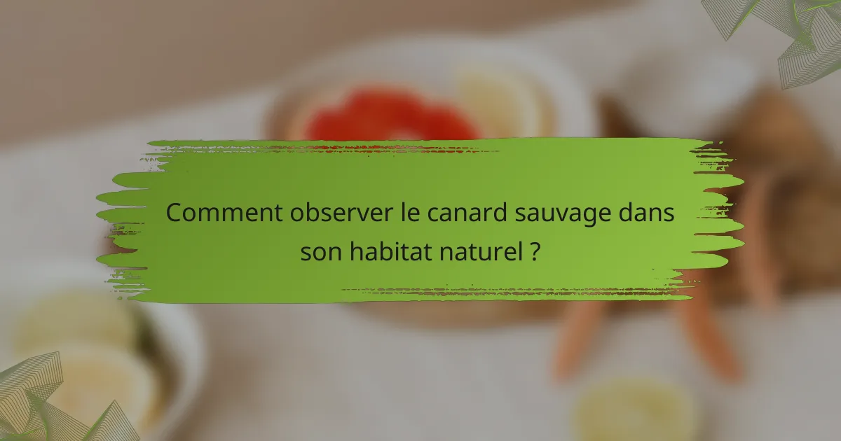 Comment observer le canard sauvage dans son habitat naturel ?