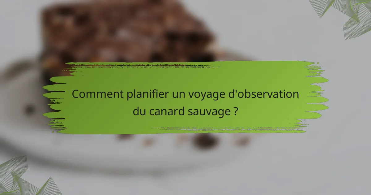 Comment planifier un voyage d'observation du canard sauvage ?