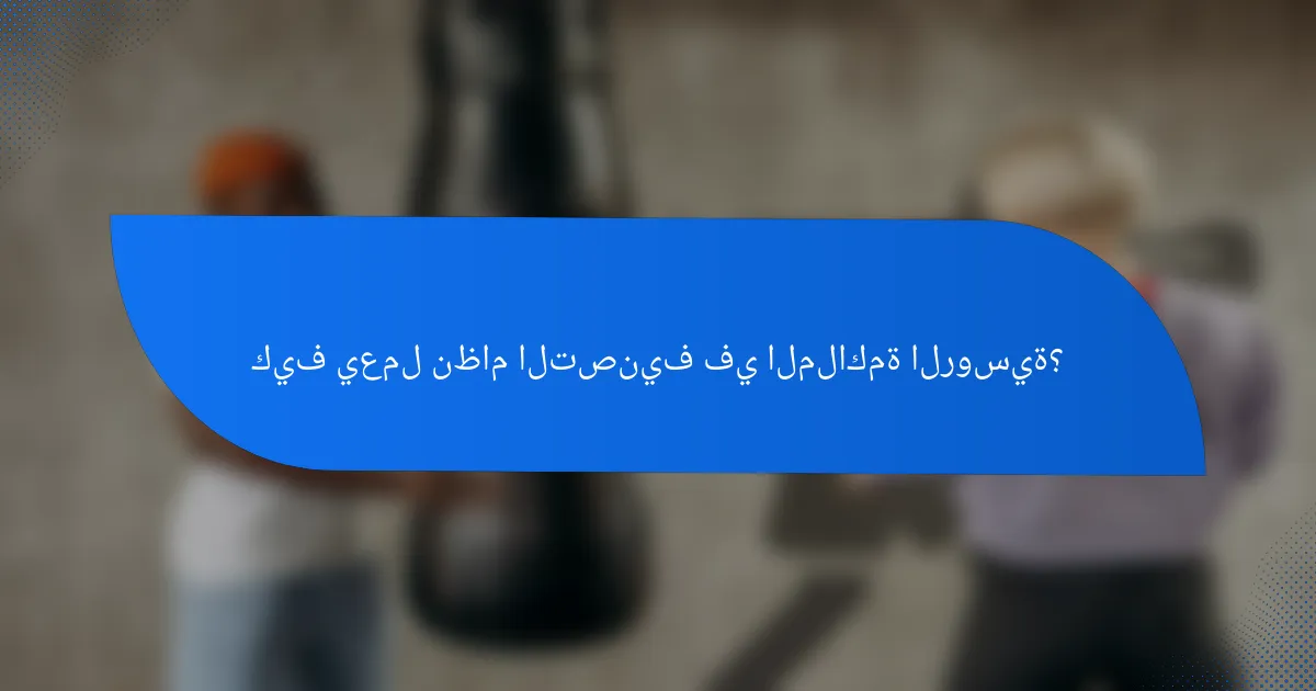 كيف يعمل نظام التصنيف في الملاكمة الروسية؟