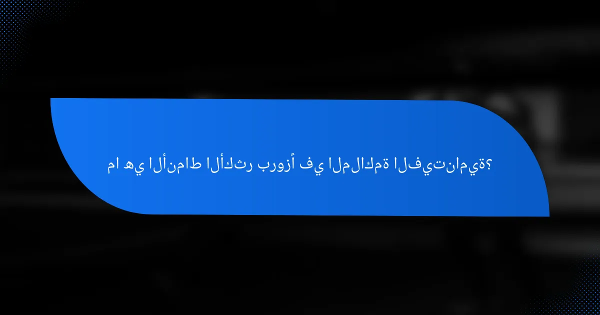 ما هي الأنماط الأكثر بروزًا في الملاكمة الفيتنامية؟