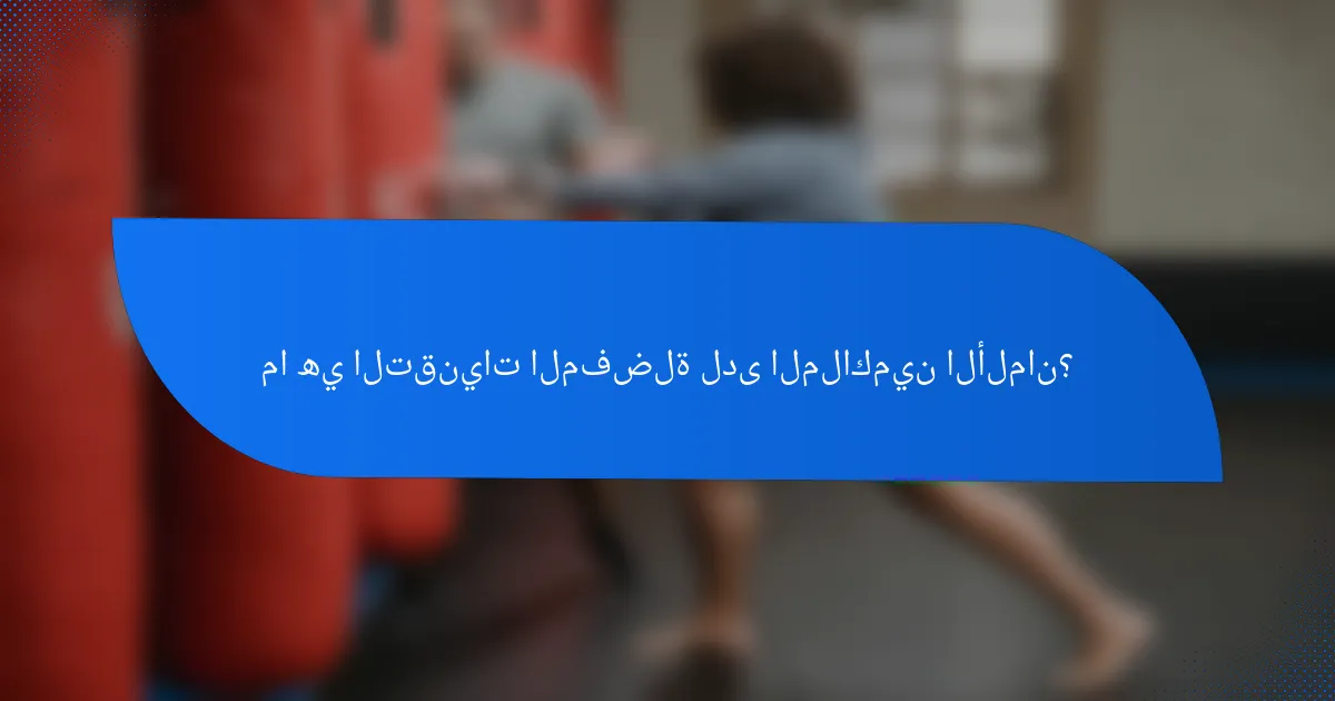 ما هي التقنيات المفضلة لدى الملاكمين الألمان؟
