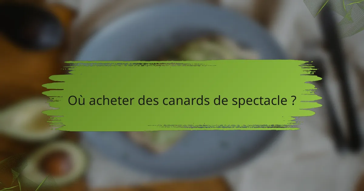 Où acheter des canards de spectacle ?