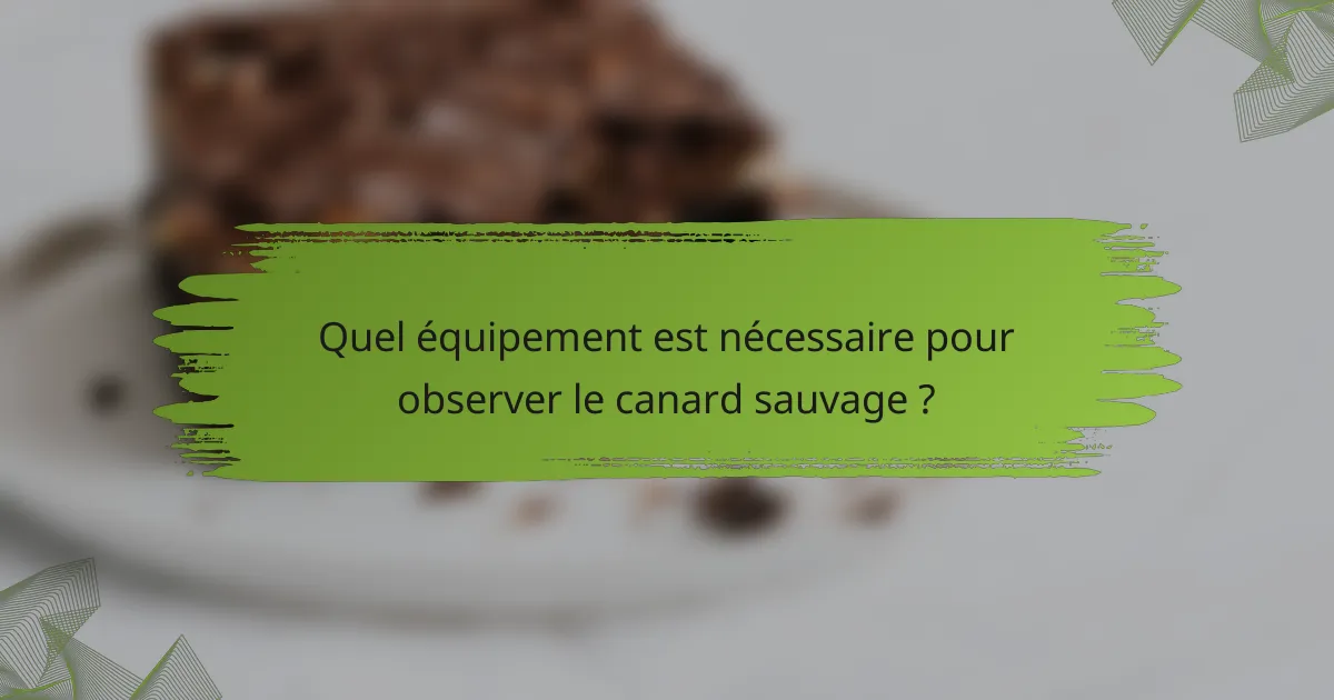 Quel équipement est nécessaire pour observer le canard sauvage ?