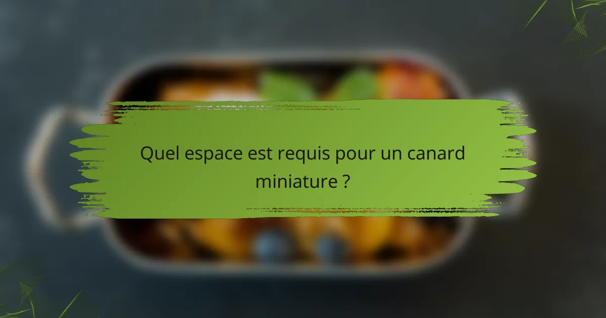 Quel espace est requis pour un canard miniature ?
