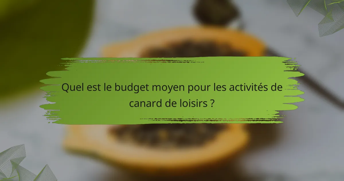 Quel est le budget moyen pour les activités de canard de loisirs ?