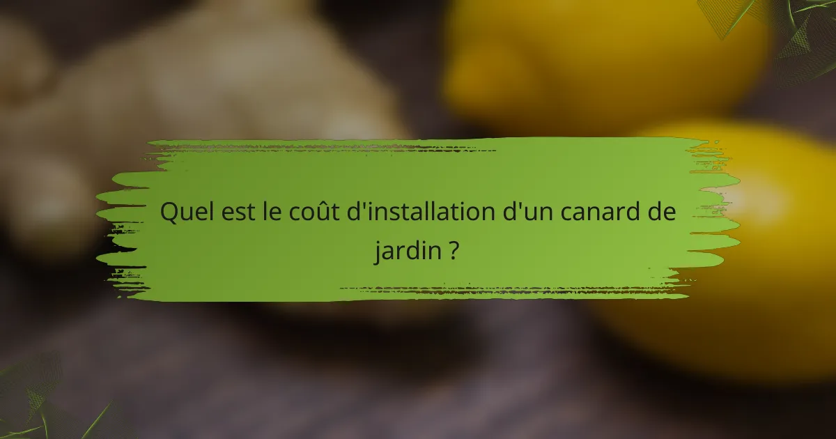Quel est le coût d'installation d'un canard de jardin ?