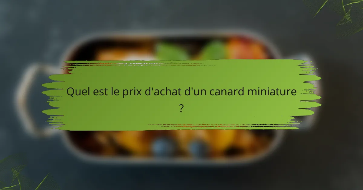 Quel est le prix d'achat d'un canard miniature ?
