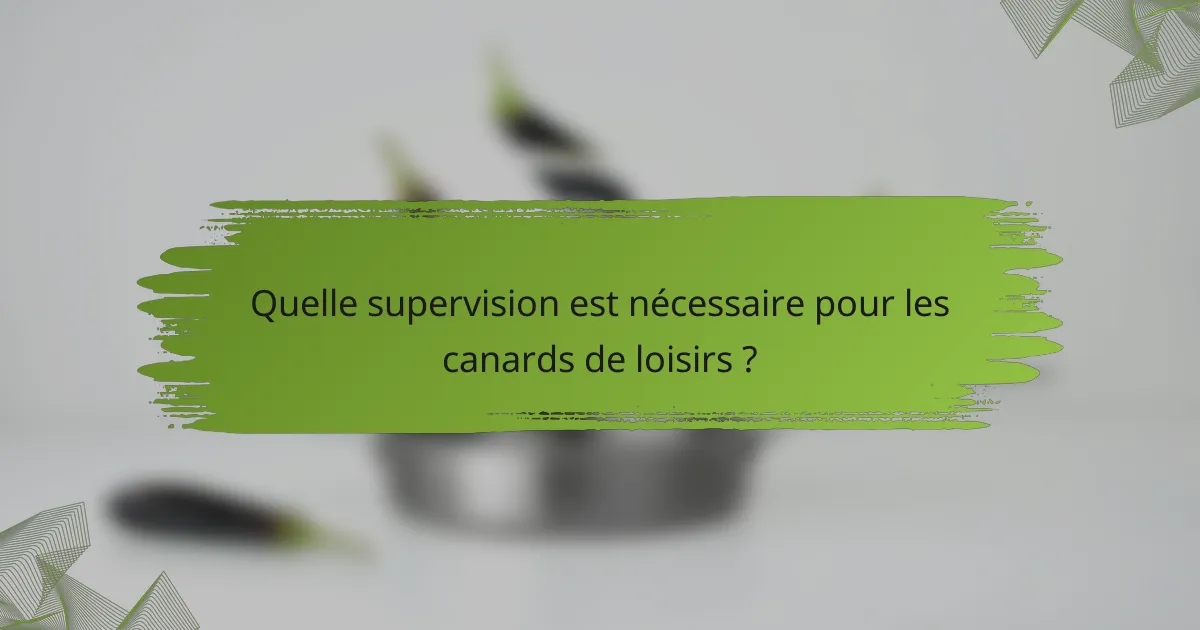 Quelle supervision est nécessaire pour les canards de loisirs ?