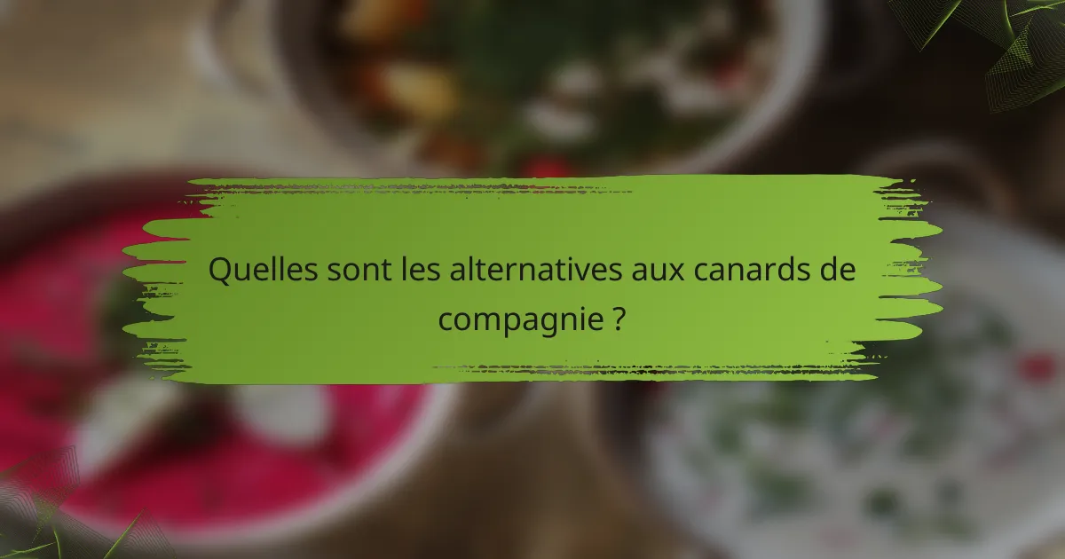 Quelles sont les alternatives aux canards de compagnie ?