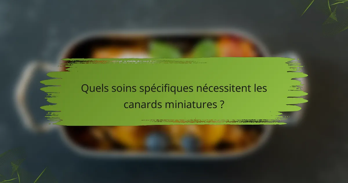 Quels soins spécifiques nécessitent les canards miniatures ?