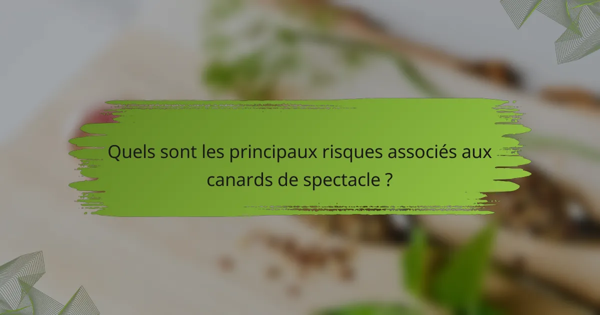 Quels sont les principaux risques associés aux canards de spectacle ?