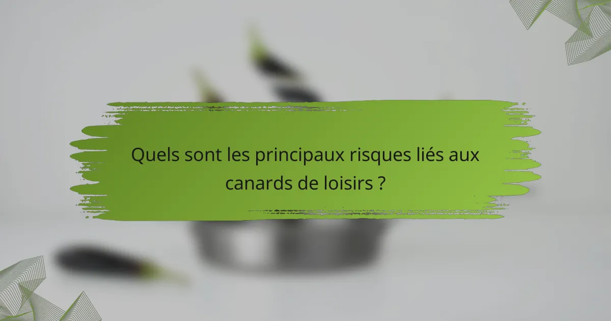 Quels sont les principaux risques liés aux canards de loisirs ?