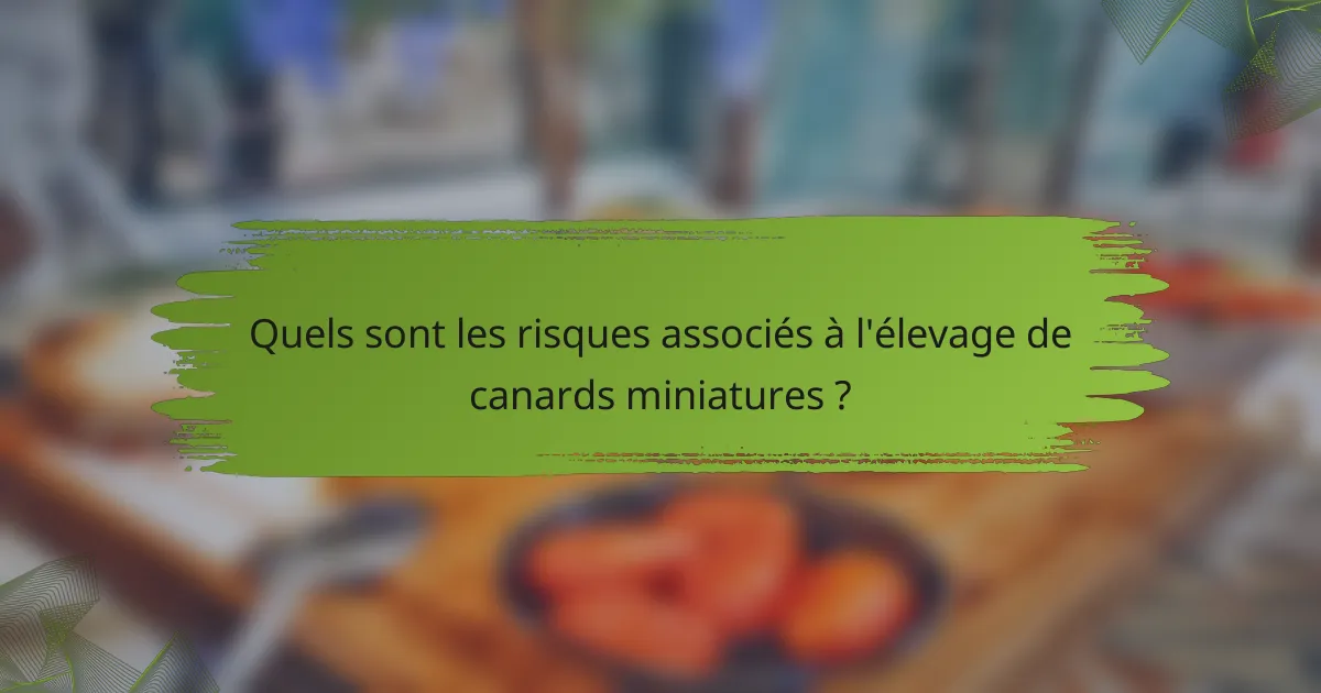 Quels sont les risques associés à l'élevage de canards miniatures ?