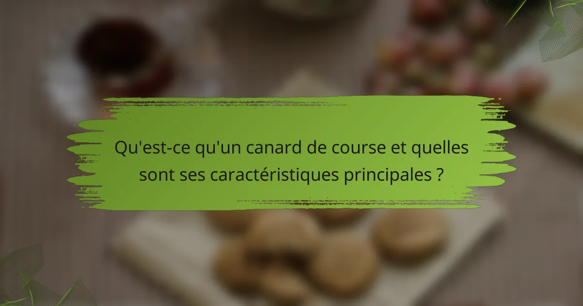 Qu'est-ce qu'un canard de course et quelles sont ses caractéristiques principales ?